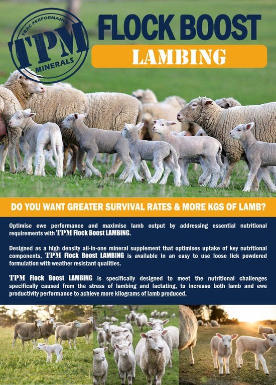 Lambing Boost